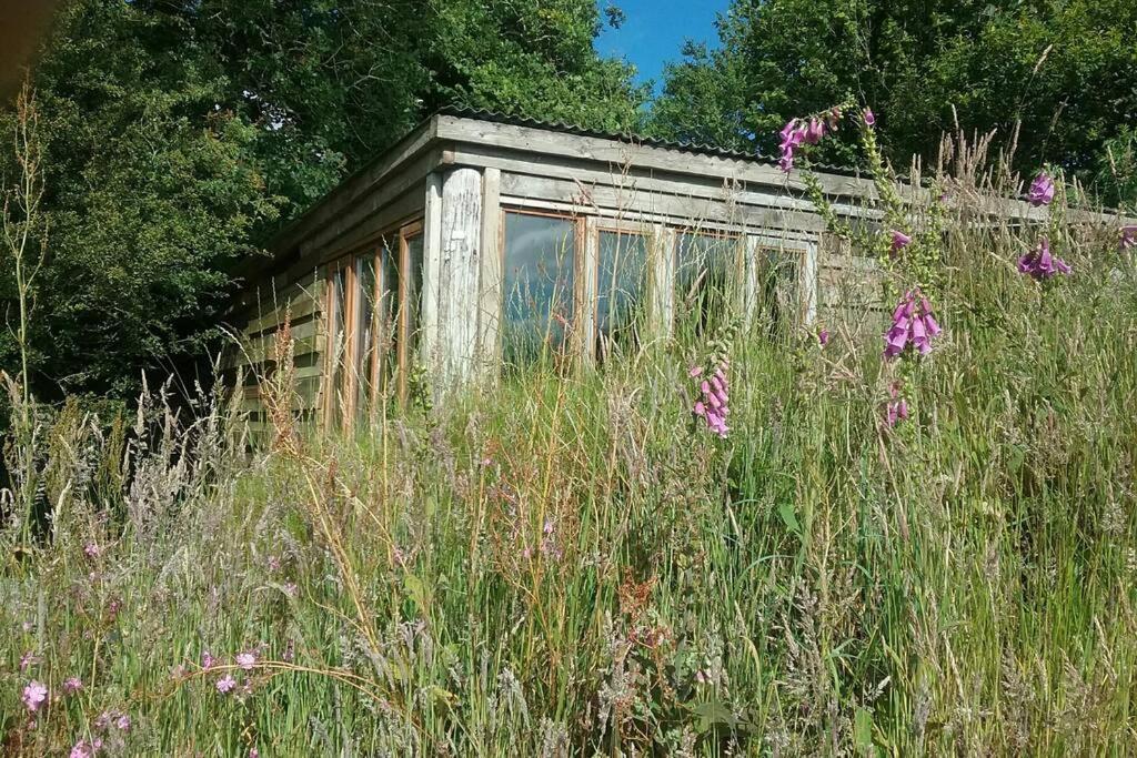 Foxesden, Unique Eco Cabin, Dartmoor Views South Brent Buitenkant foto