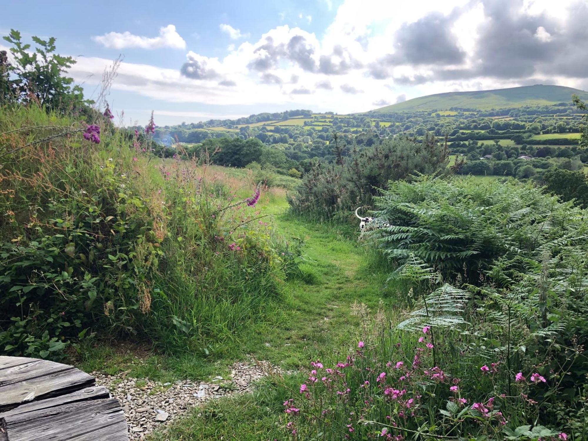 Foxesden, Unique Eco Cabin, Dartmoor Views South Brent Buitenkant foto